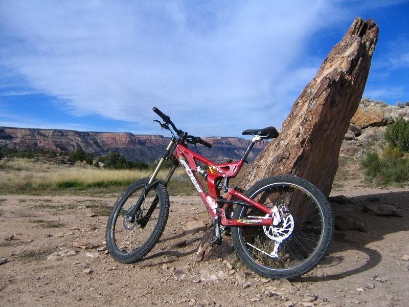 Singletrack Glory None