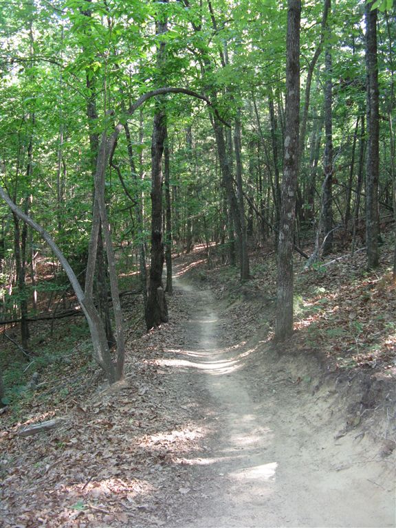 Singletrack None