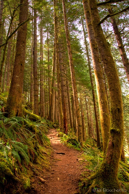 Siouxon Trail None