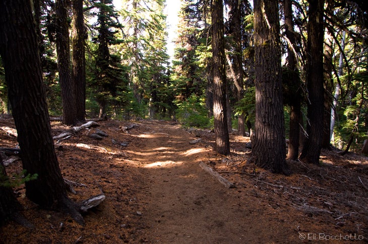 Sisters Wilderness None