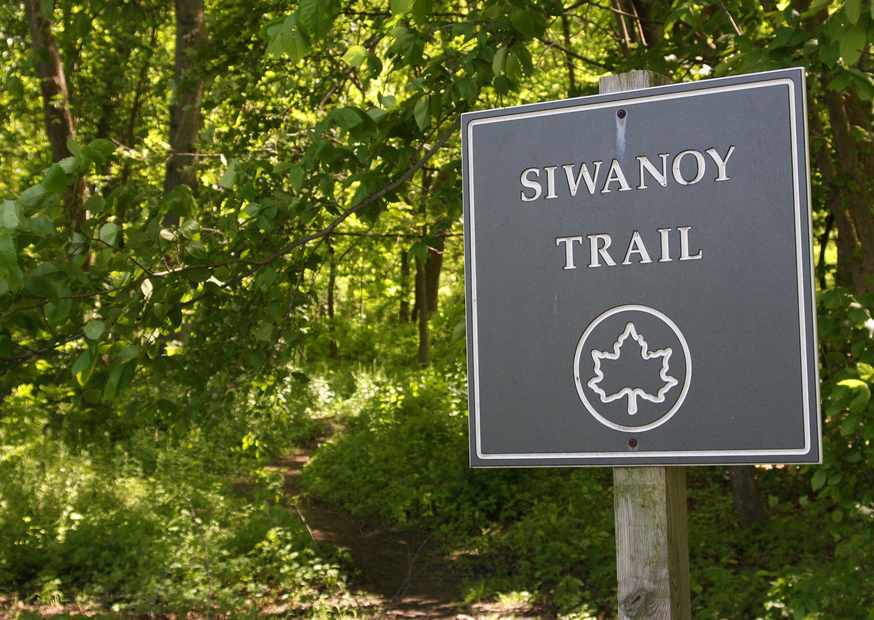 Siwanoy Trail None