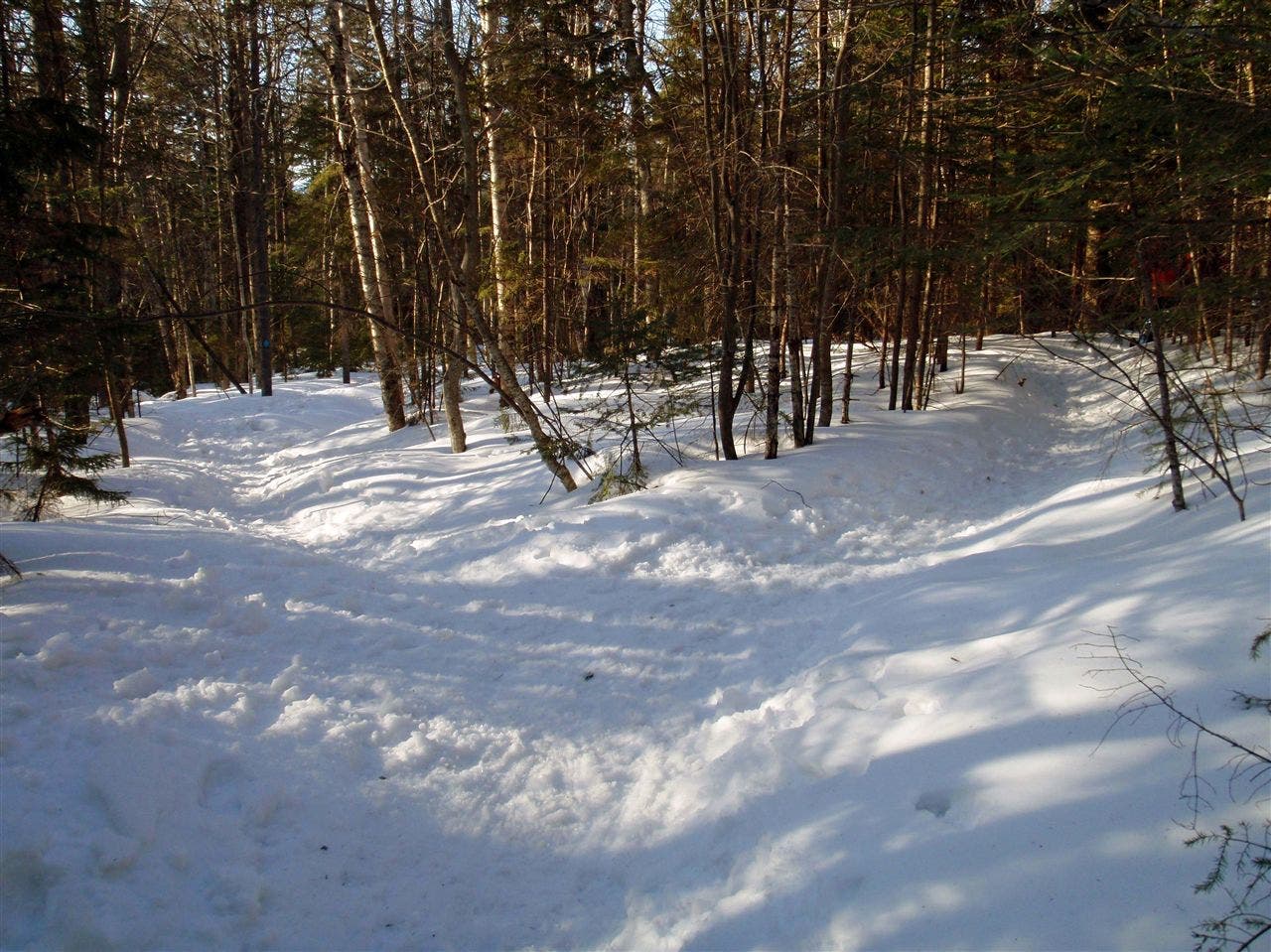 Ski Trail Junction None