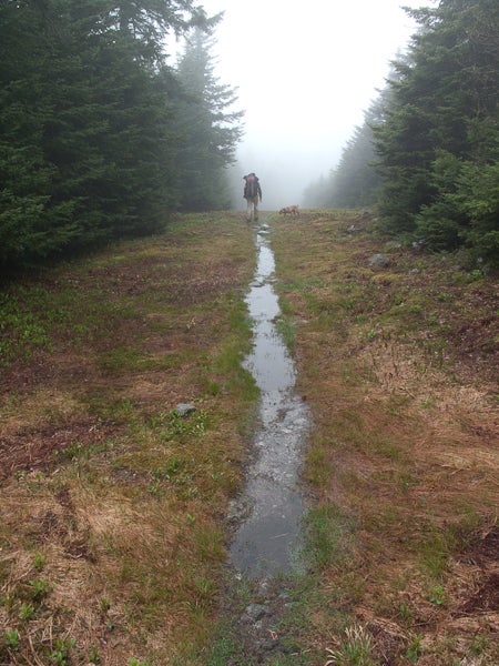 Ski Trail Trail None