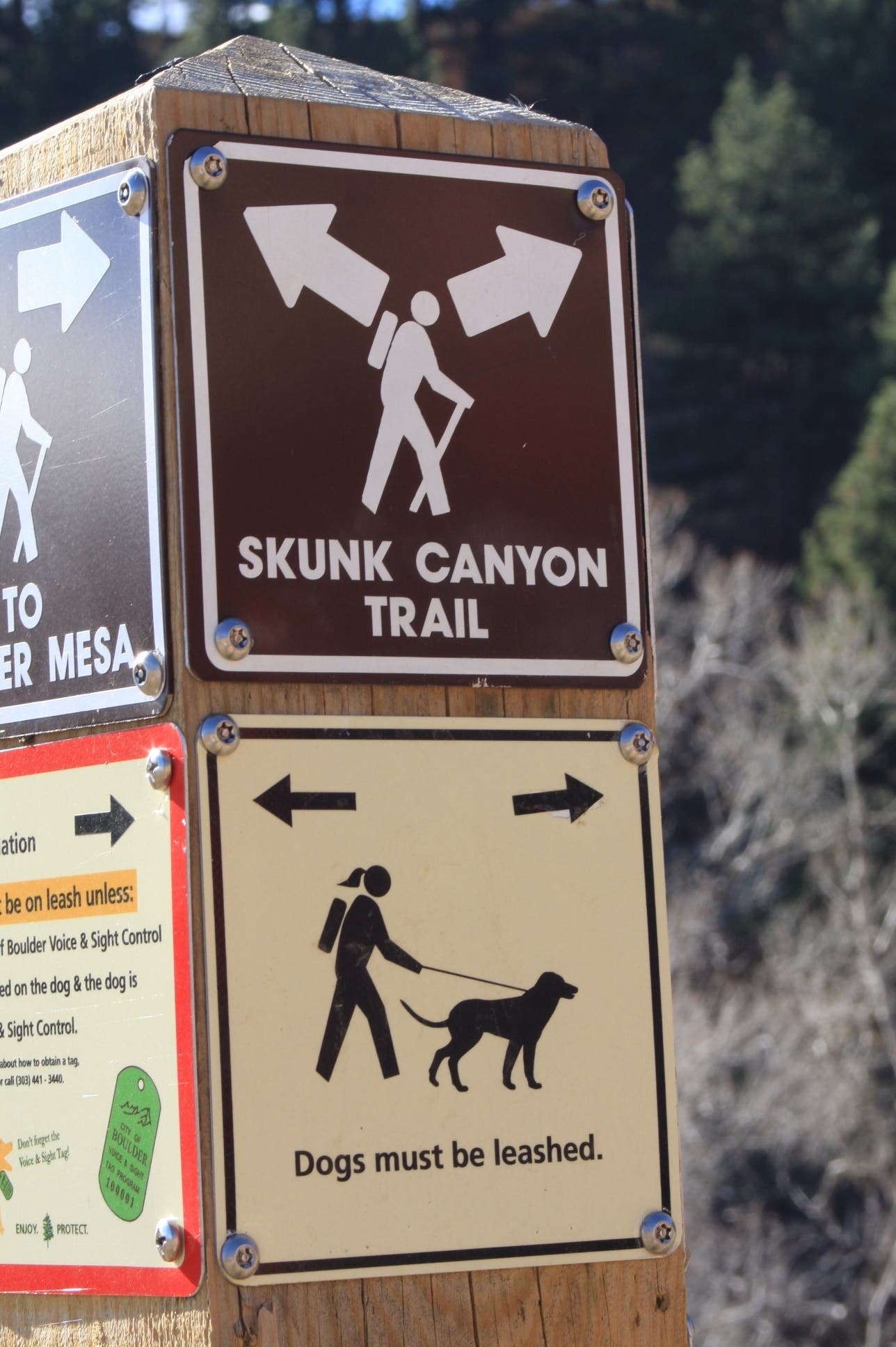 Skunk Canyon Trail None