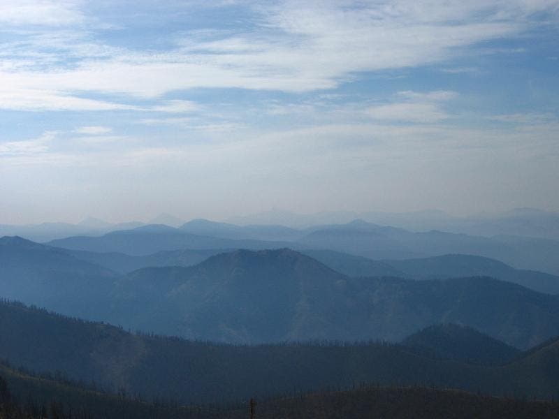 Sleeping Deer-Mid Salmon None