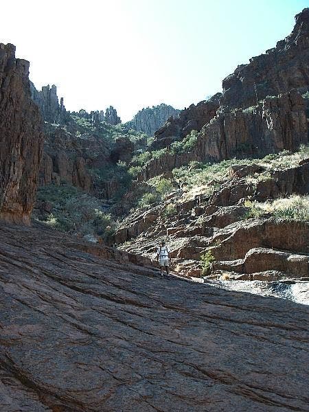 Slick Rock Terrain None