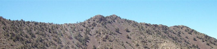 Slims Peak None