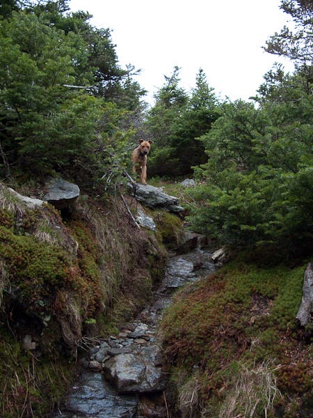 Slippery When Wet None