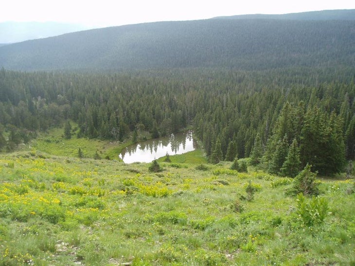 Small Lake None