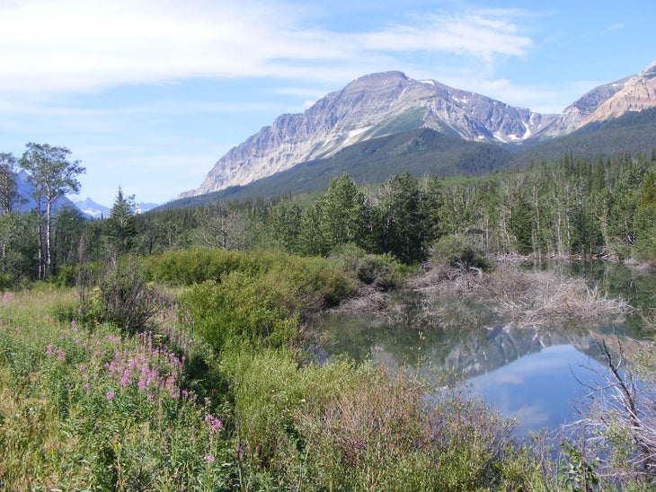 Small Pond None