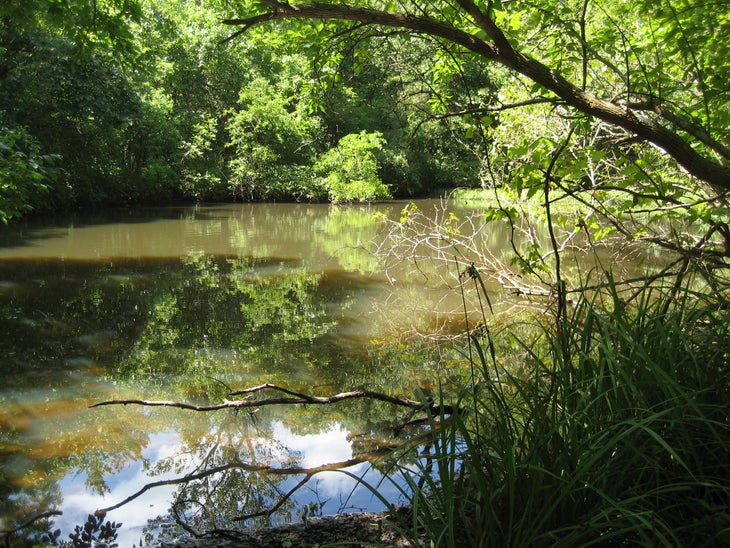 Small Pond None