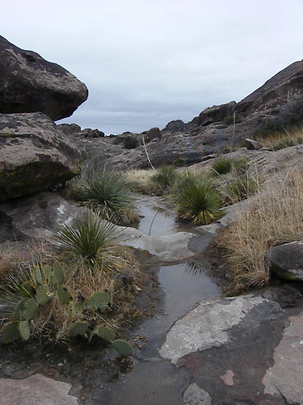 Small pools of water on the rock. None