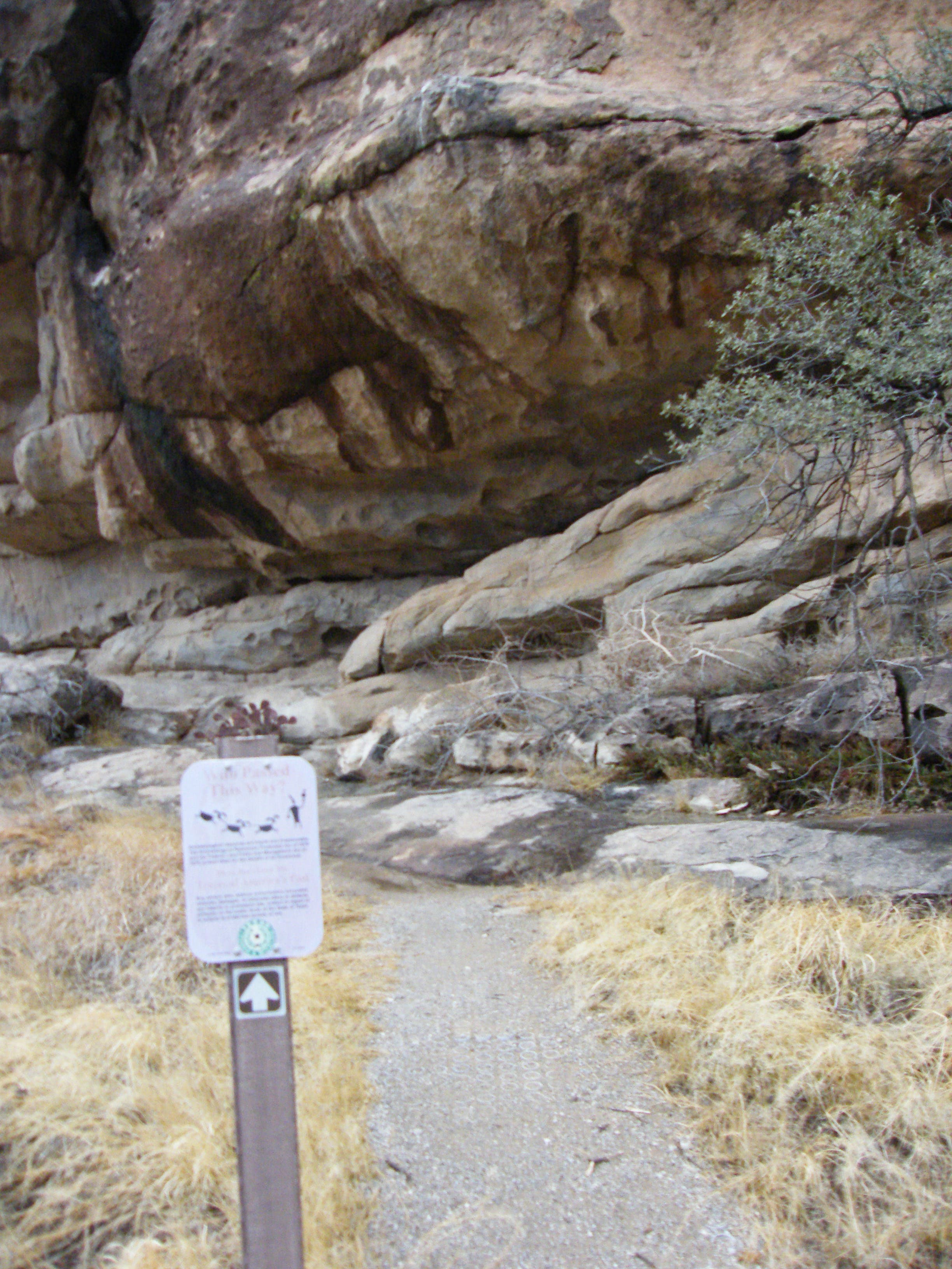 Small rock shelter. None