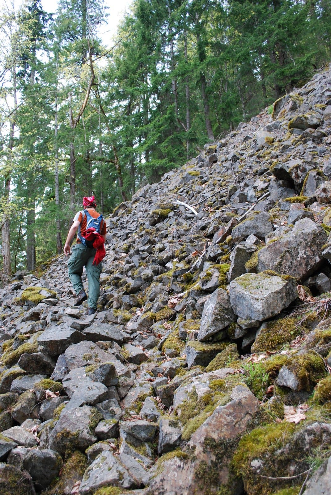 Small Rock Slide None