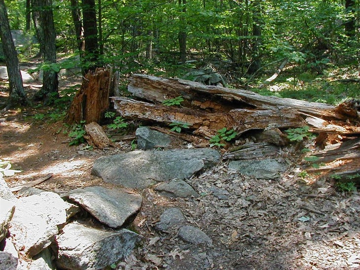 Small Rock Wall None