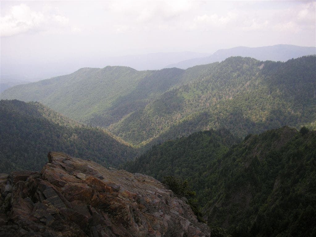 Smokies vista None