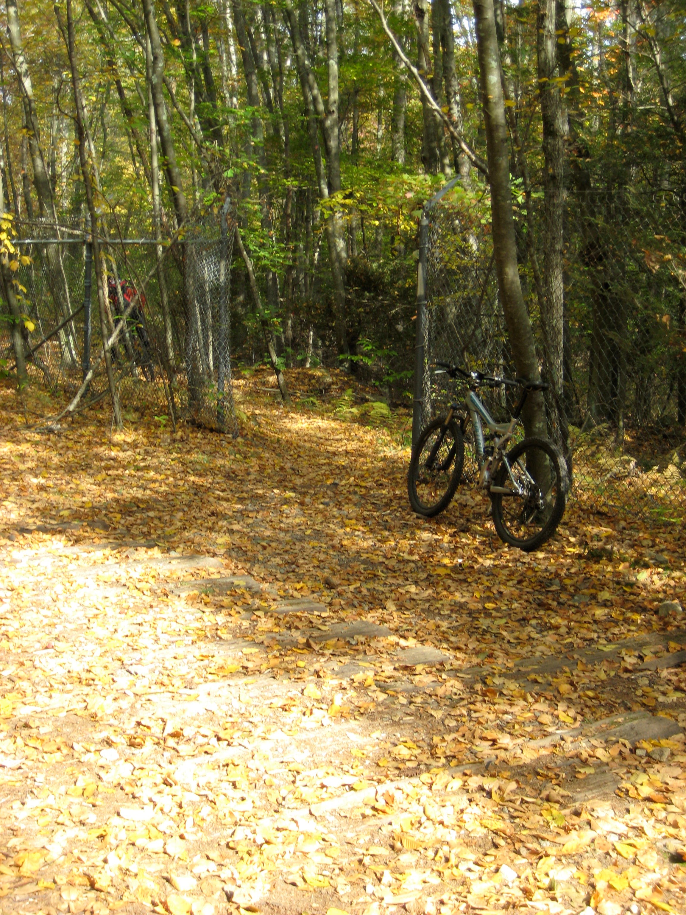 Sneaky Trail Crossing None