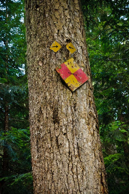 Sno Marker at Beaver Pass None