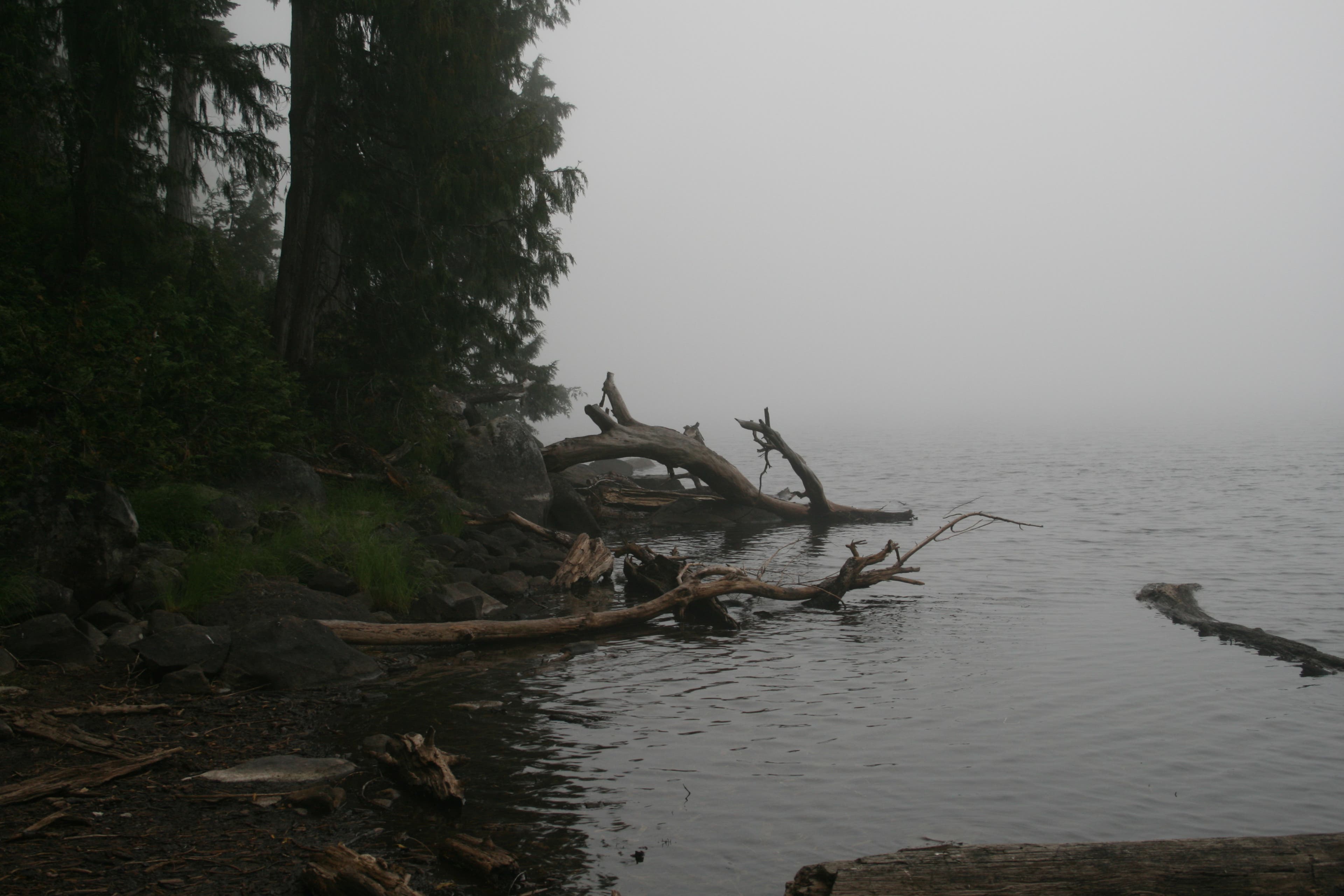Snoqualmie Lake None