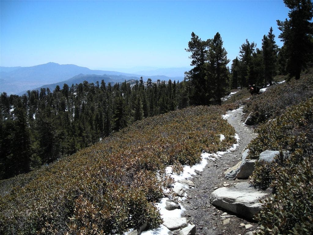 Snow lingering on the trail None