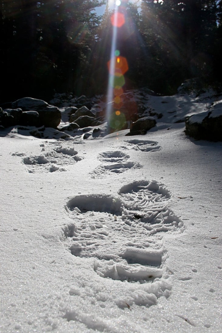 Snow Prints None