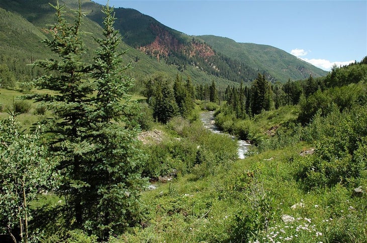 Snowmass Creek None