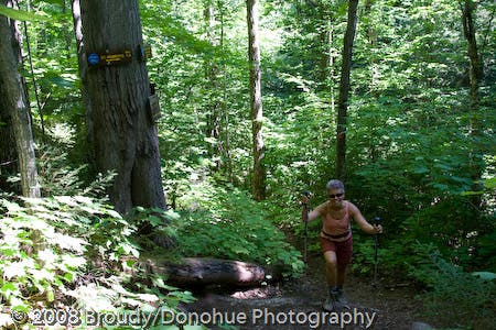 Snow/St. Huberts Junction None