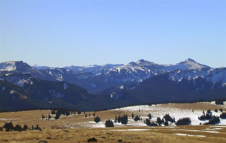 Snowy Peaks None