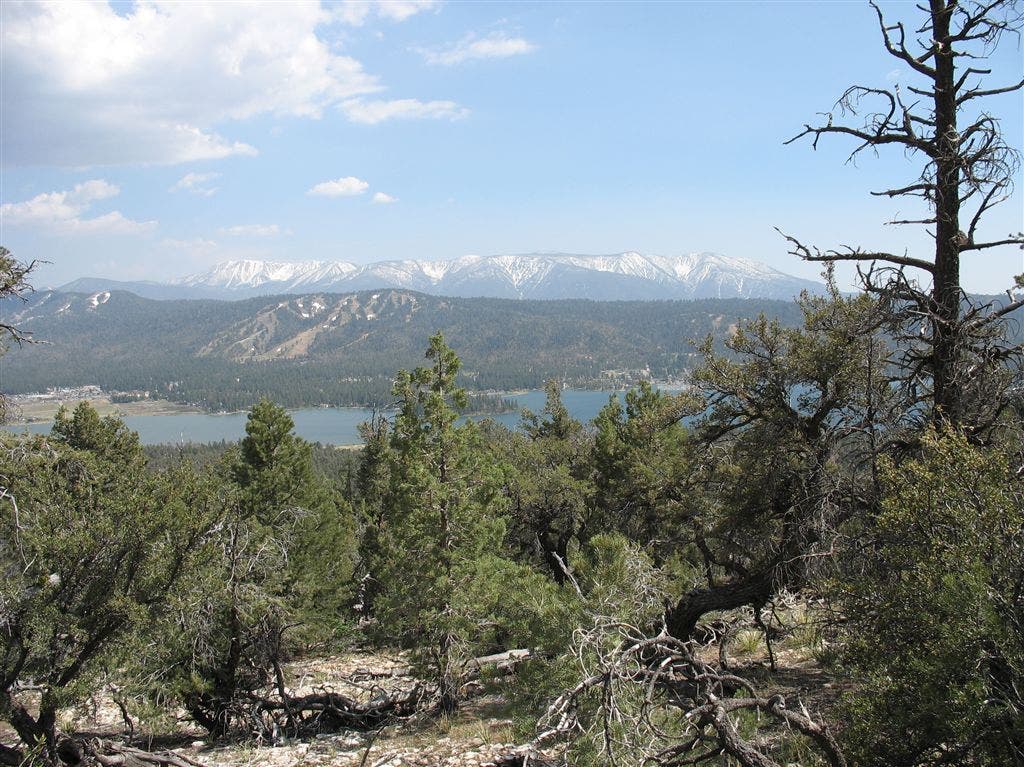 Snowy Peaks and Forested Hills None