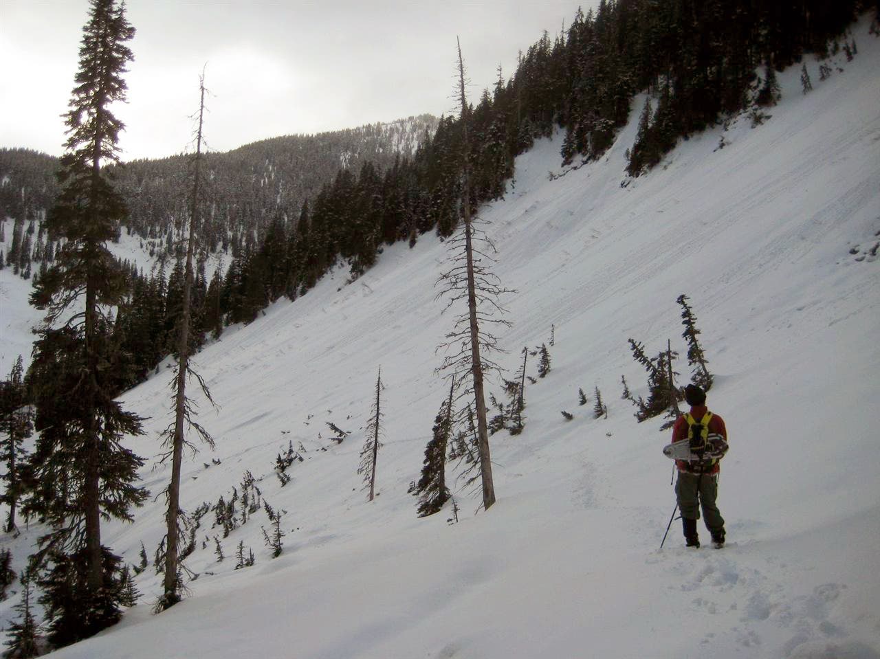 Snowy Talus Field None