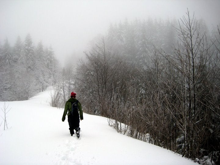 Snowy Traverse None
