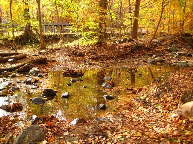 Soapstone Creek None