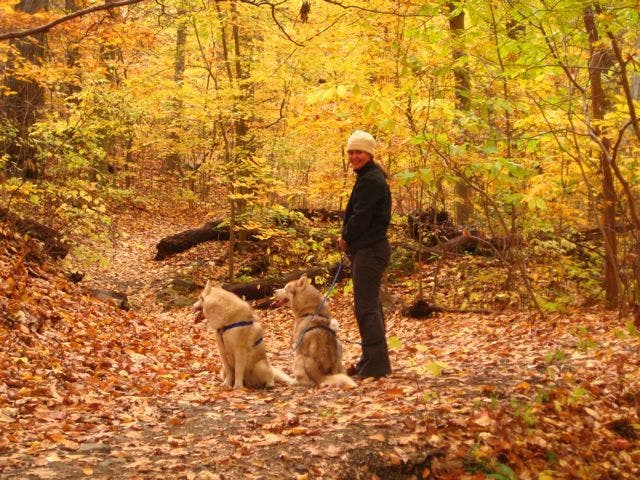 Soapstone Trail None