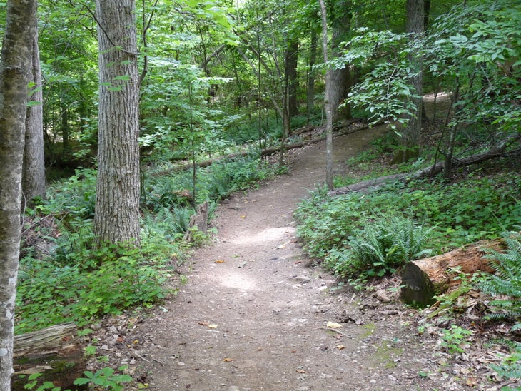 Soft paths None