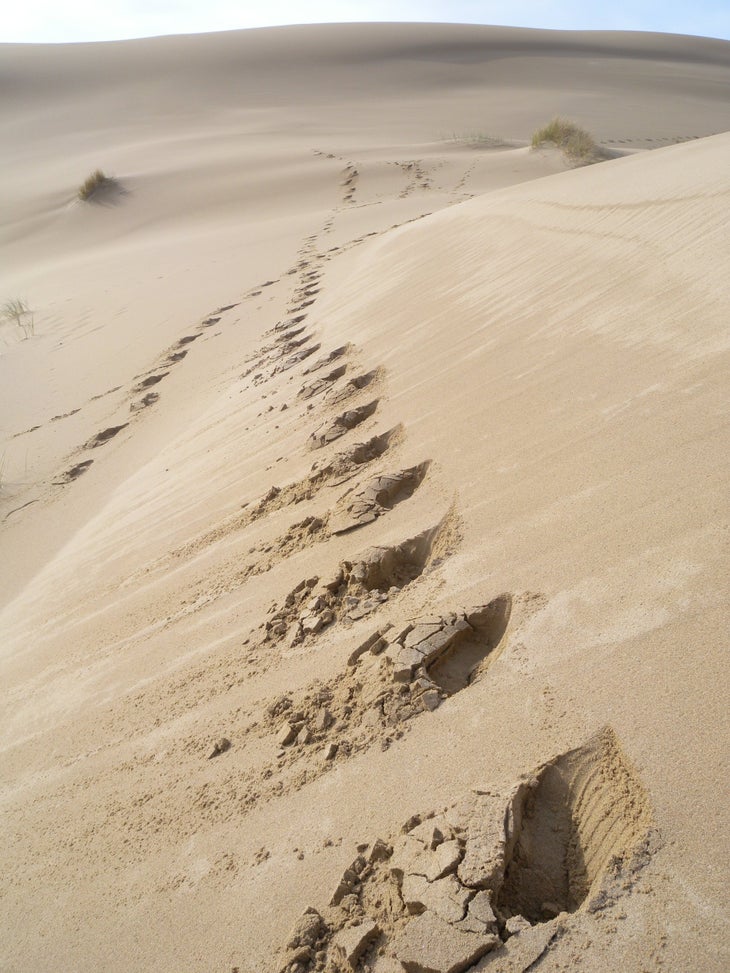 Soft Sand None