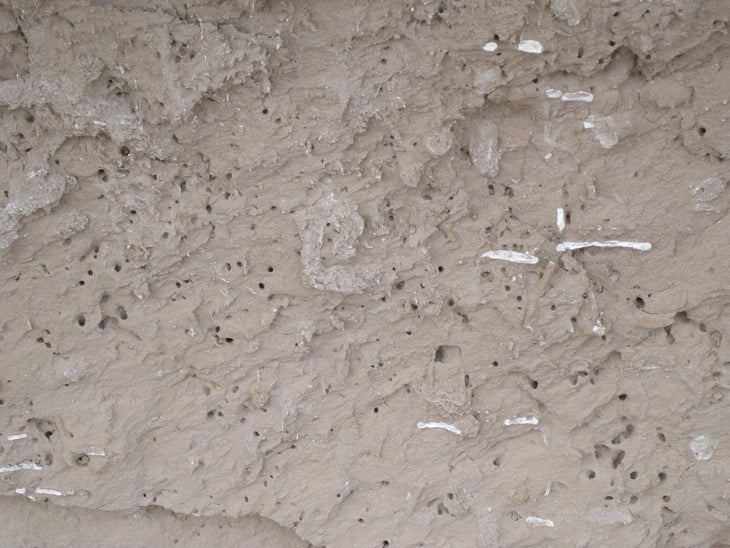Soil None