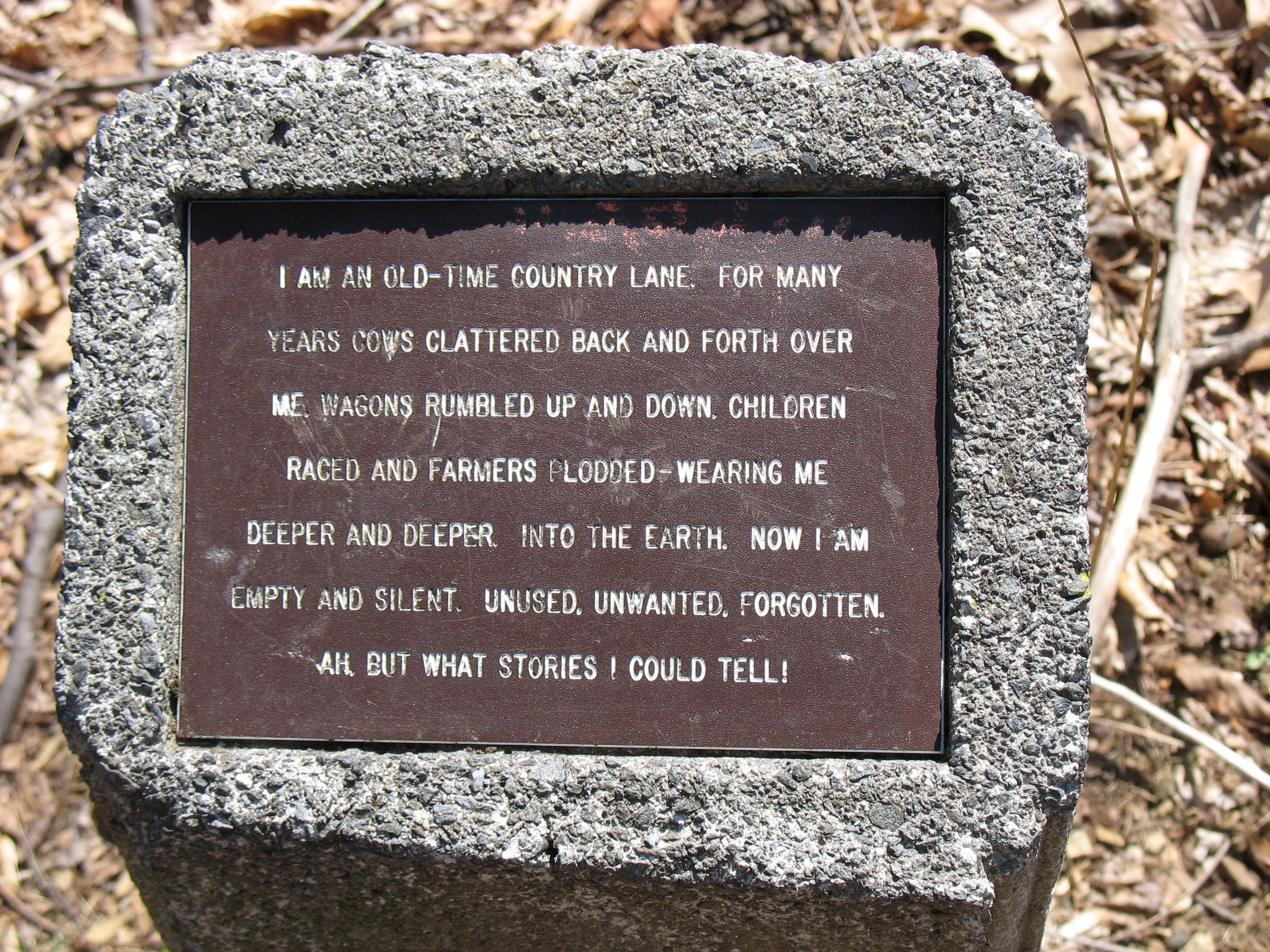 Sometimes I Feel Like an Old-Time Country Lane None