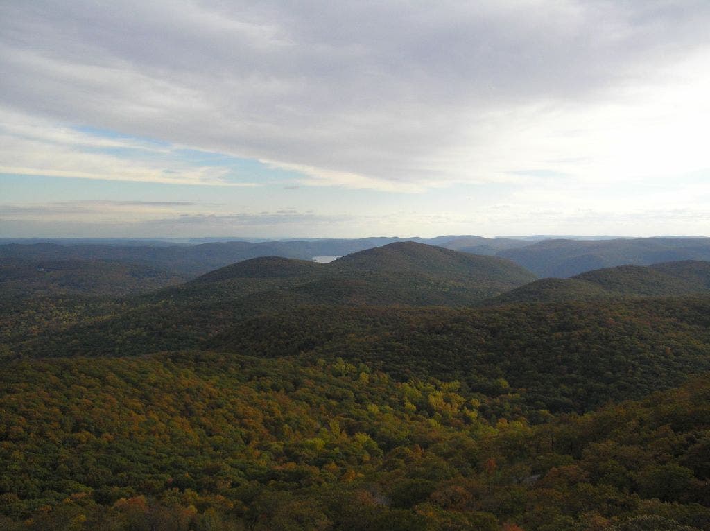 South Beacon South None