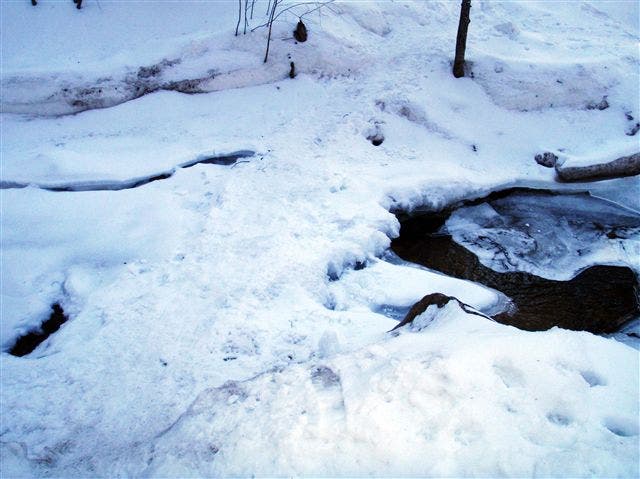 South Fork River Crossing None