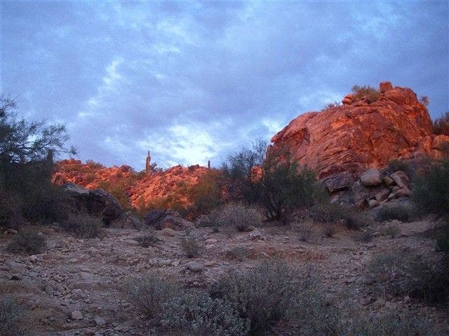 South Mountain Color Palette None