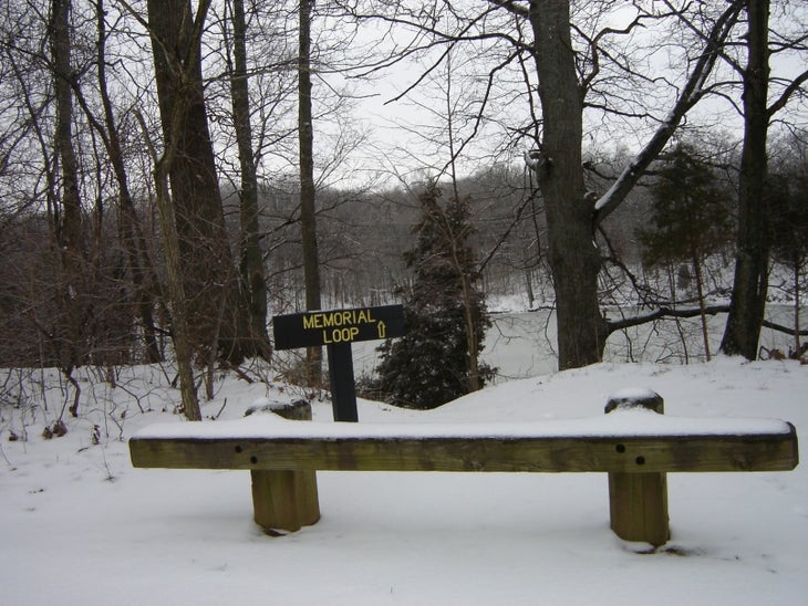 South Shelter Access None