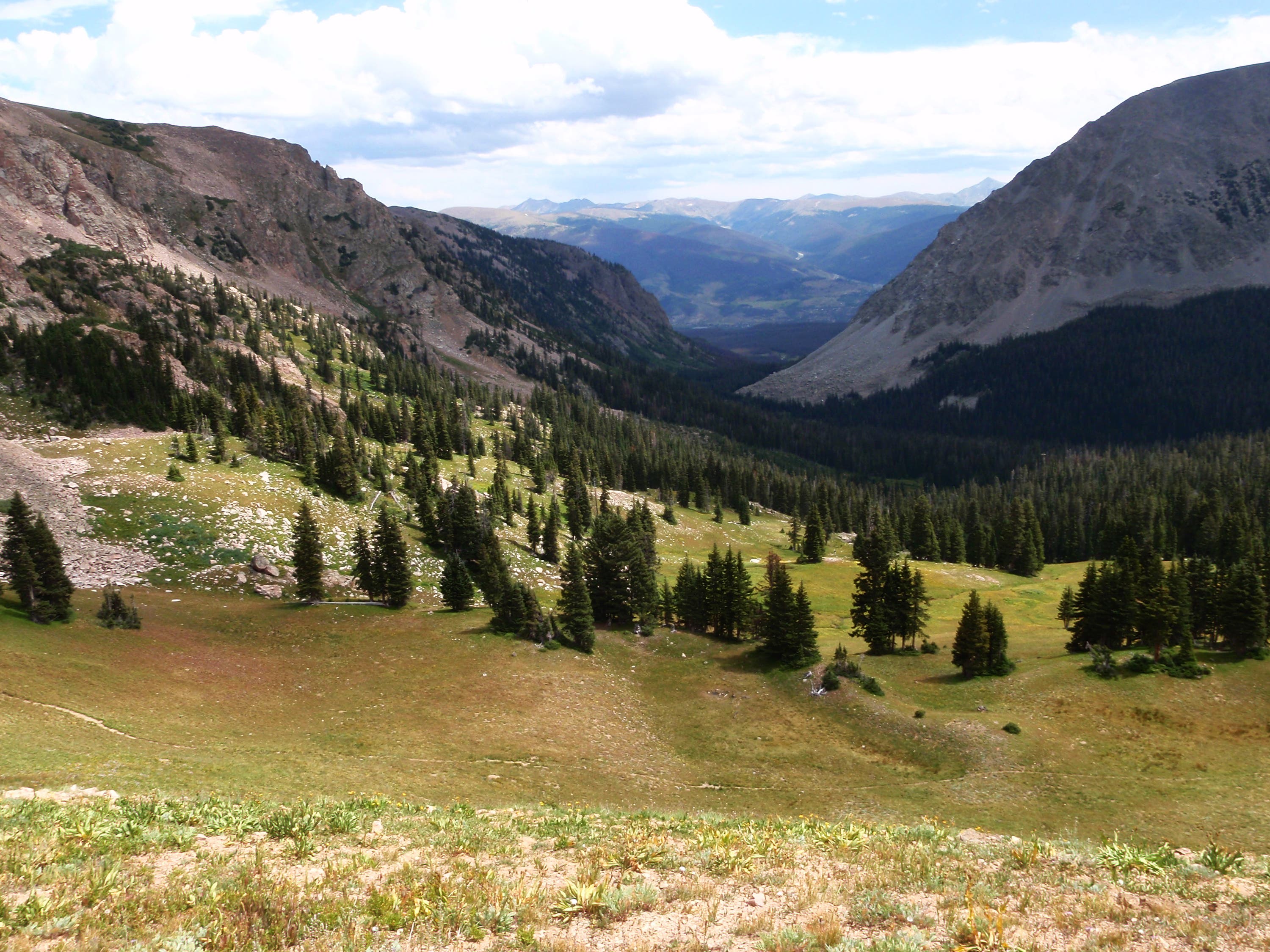 South Willow Creek Drainage None