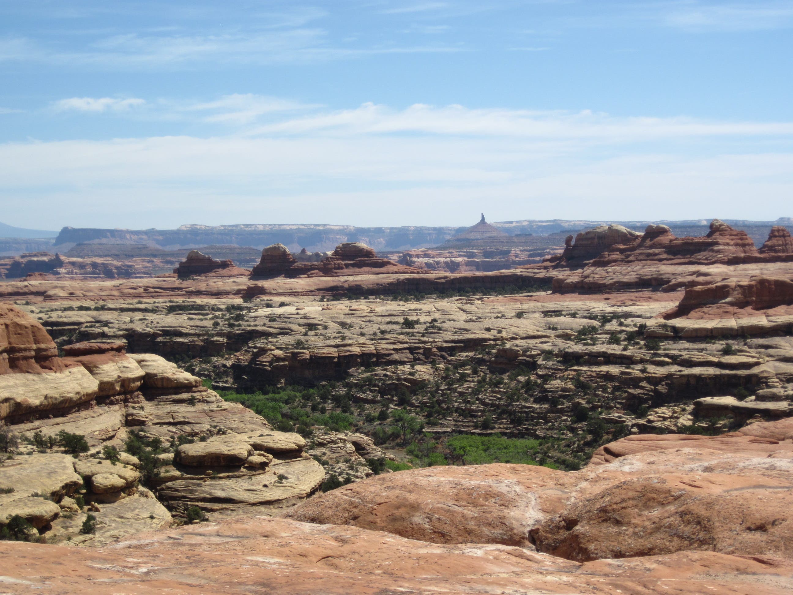 Southeast view from the head of Big Spring Canyon None