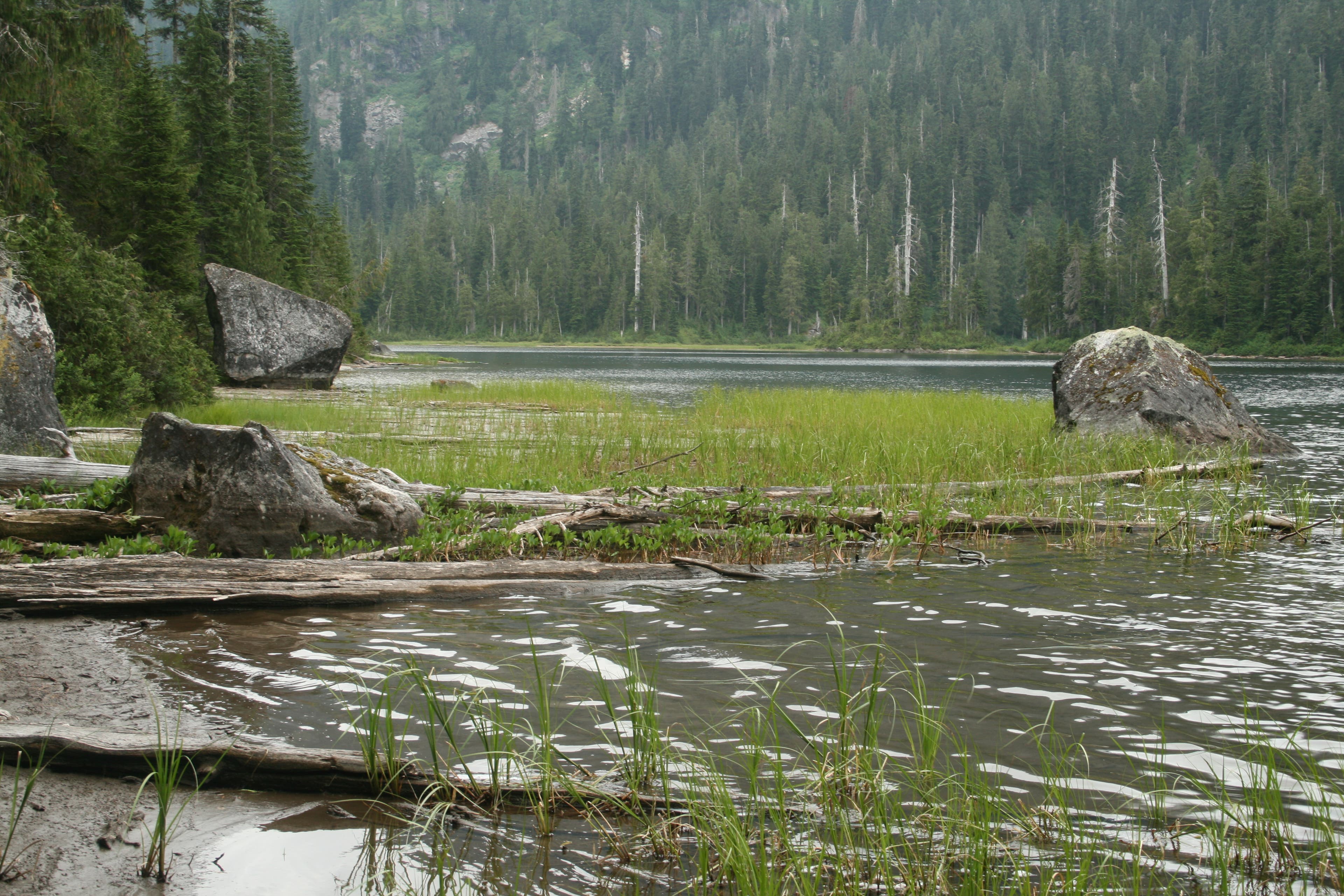 Southern End of Lake Dorothy None