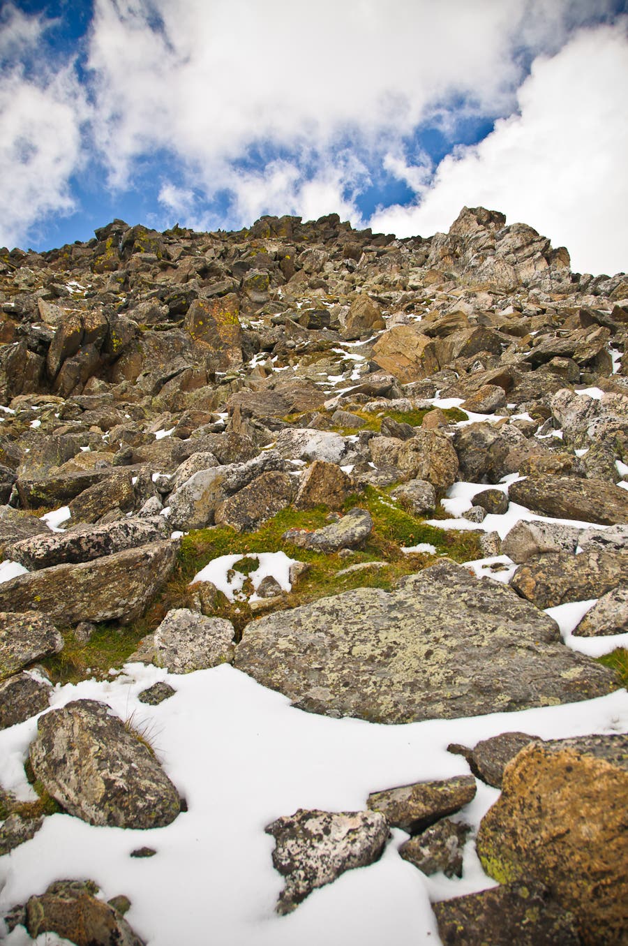 Southern slopes of Mount Ida None