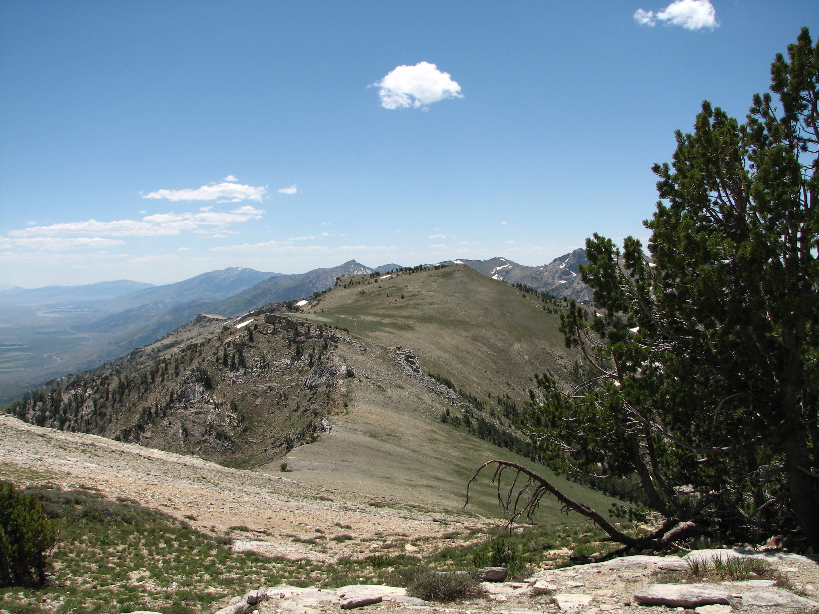 Southward Ridge Vistas None