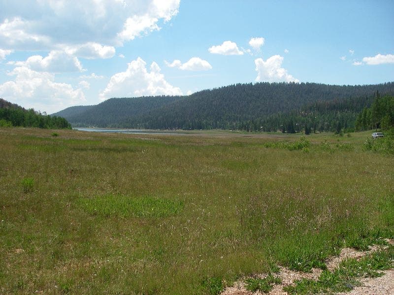Southwest shore of Navajo Lake None