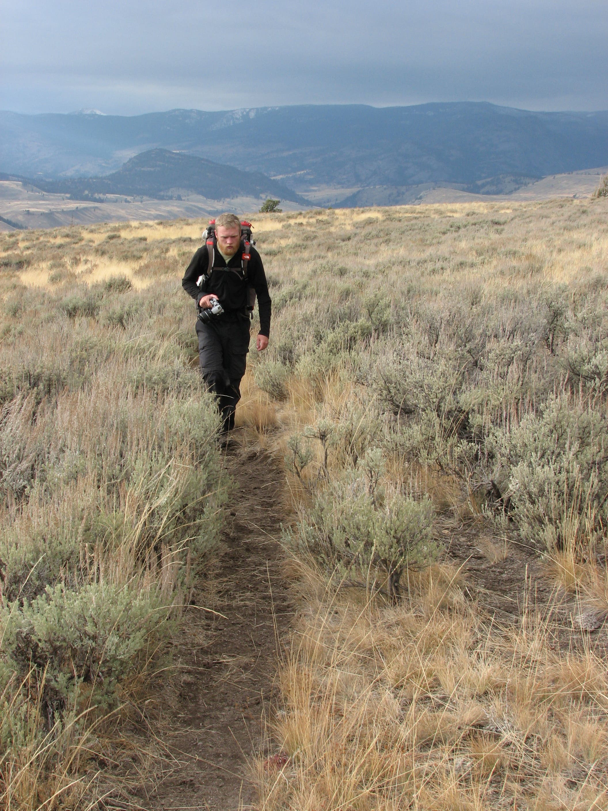 Speciman Ridge Trail None