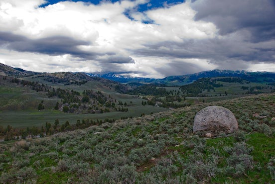 Specimen Ridge View None