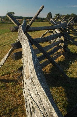 Split Rail Fence None